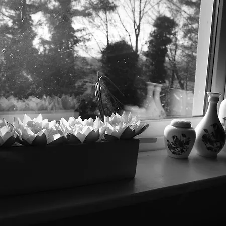 Bed & Breakfast Rockfield House 2*