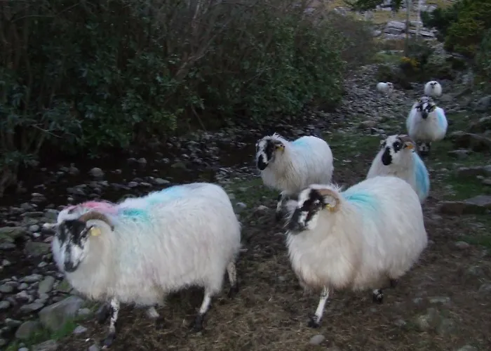 住宿加早餐酒店 Rockfield House 基拉尼