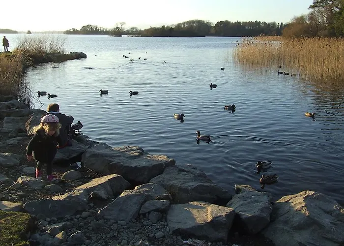 Couette-café Rockfield House