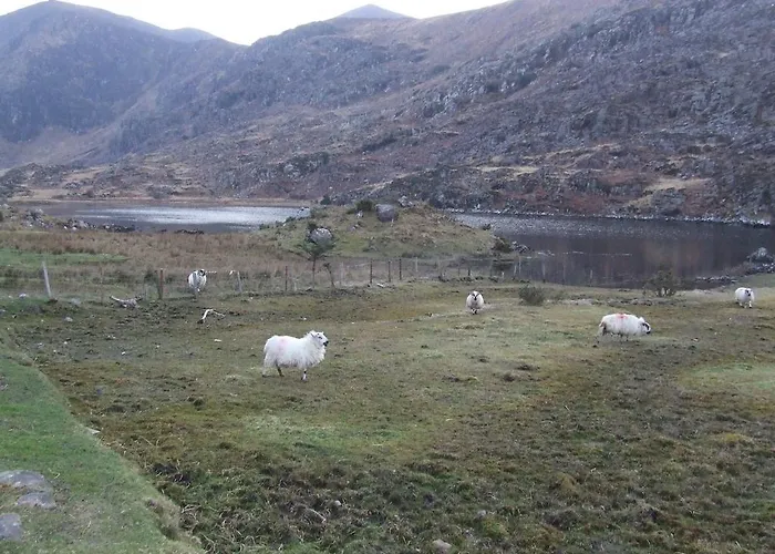 Panzió Rockfield House